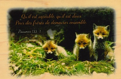 Carte postale en bois massif (érable)