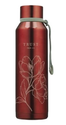 Gourde inox Trust