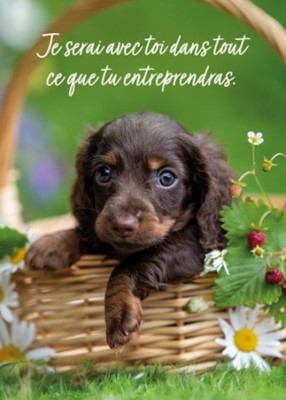 Mini carte Chiot dans un panier avec des fleurs