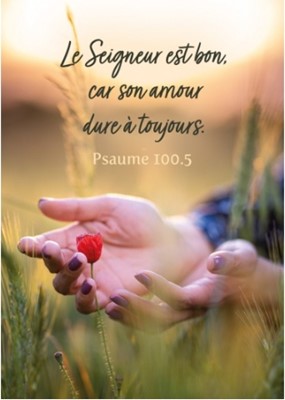Mini carte mains qui protègent un coquelicot