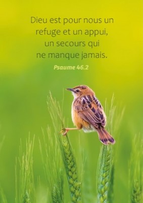 Carte postale avec verset oiseau perché sur des épis de blé