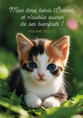 Mini carte chaton dans l'herbe