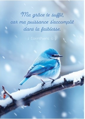 Carte postale avec verset oiseau bleu sur branche givrée