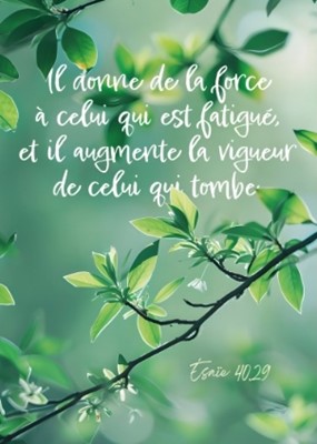 Carte postale avec verset branche d'arbre sur fond vert