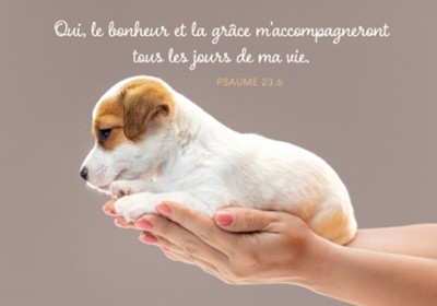 Carte postale avec verset chiot tenu dans les mains