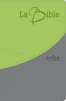 Bible Segond 21 gros caractères, souple, duo vert-gris
