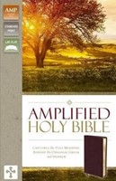 Amplified Holy Bible Version 2015