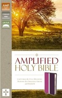 Amplified Thinline Holy Bible version 2015