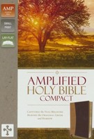 Amplified Holy Bible version 2015