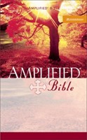 Amplified Bible Mass Market