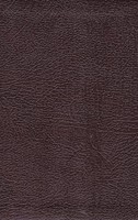 NLT Compact Bible