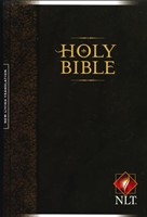 NLT2 Bible Relié Rigide Marron