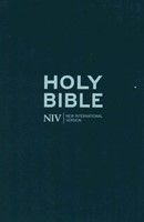 NIV Bible Thinline Blue