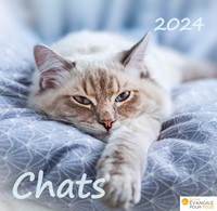 Calendrier Chats