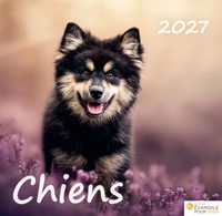 Calendrier Chiens 2027