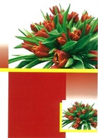 Lot de 6 cartes double tulipe