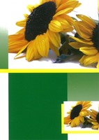 Carte double tournesol