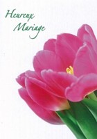 Lot de 6 cartes double mariage tulipe rose