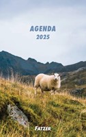 Agenda international 2024