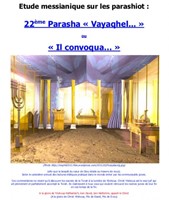 Parasha n°22 