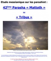 Parasha n°42 