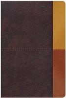 NIV Rainbow Study Bible