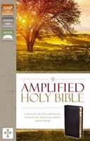 Amplified Holy Bible Black Indexed