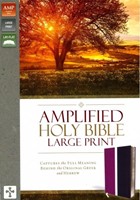 Amplified Holy Bible