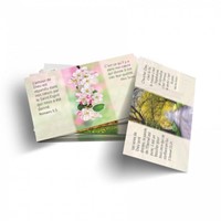 Mini carte lot de 100 cartes