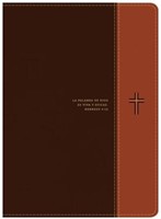 Bible Rvr60 Biblia De Estudio Diario Vivir