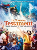 DVD Le Nouveau Testament