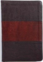 NKJV Llarge print personal size Bible