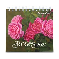 Roses petit format 2024