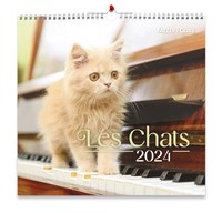 Chats grand format 2023