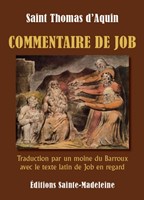 Commentaire de job