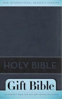 Nirv gift bible slate blue