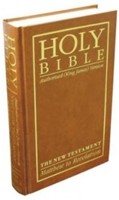 KJV giant print new testament