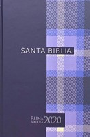 Bible rv2020 carrés bleus