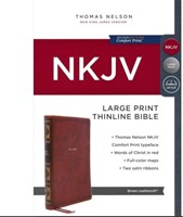 NKJV Thinline Bible Large Print