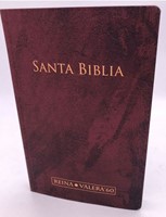 Bible rvr60 bordeaux ultrafine