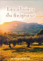 Les oliviers du Seigneur