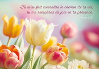 Carte postale avec verset tulipes multicolores
