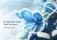 Carte postale avec verset feuilles bleues saisies par le givre