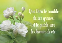 Carte postale citation fleurs blanches sur fond vert