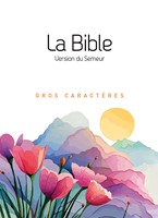 La Bible Version Semeur 2015 avec gros caractères