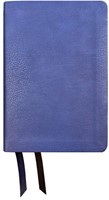 Nasb 1995 Large Print Bible