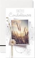 Carte double condoléances feuillage beige et gris
