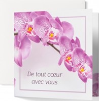 Carte double condoléances branche d'orchidées blanches et roses