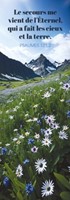 Marque-pages champ de fleurs blanches et bleues dans les montages