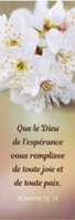 Marque-pages fleurs blanches sur fond flou